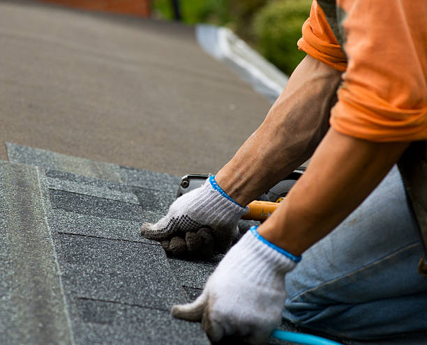 Best Roof Maintenance Services  in Lincoln, CA